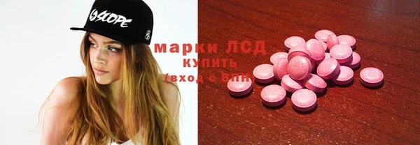 ешки Аркадак
