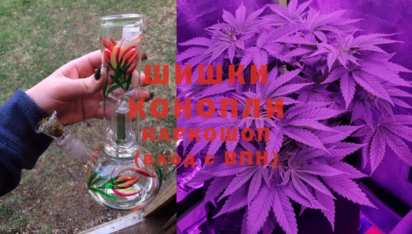 ешки Аркадак