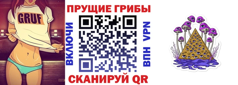 Галлюциногенные грибы мухоморы  купить наркотик  mega ТОР  Валдай 